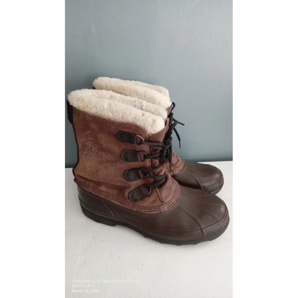Sorel bighorn winter